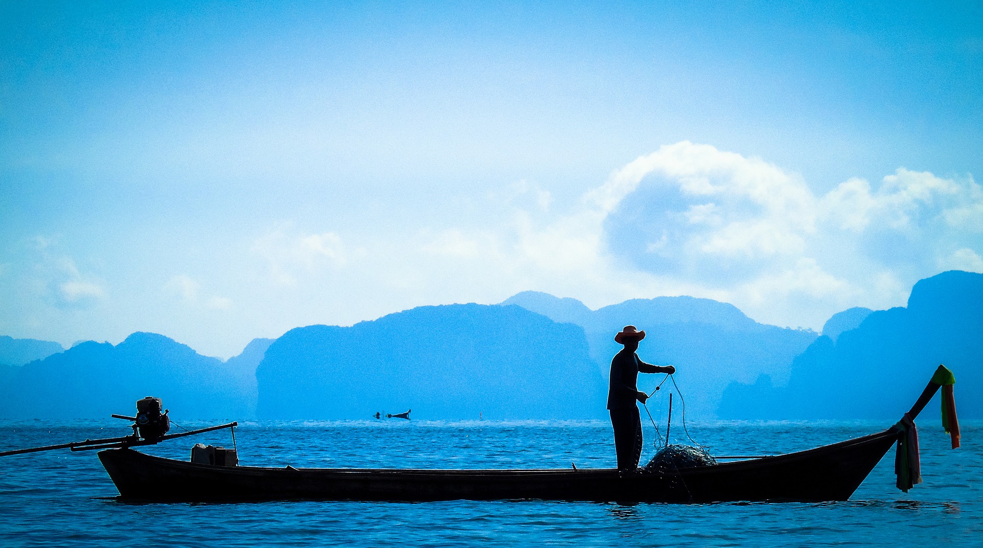 Il pesce azzurro